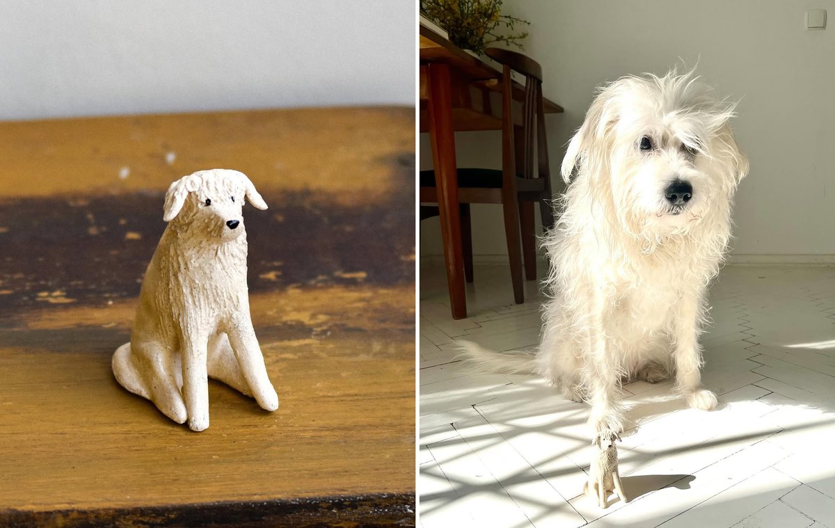 derek guy tweet media