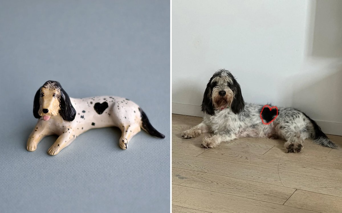 derek guy tweet media