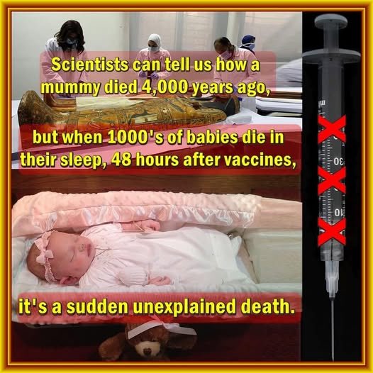 SparksN123 tweet media