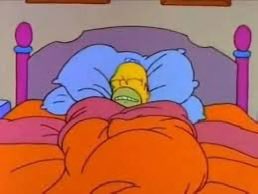 hayden whitt tweet media