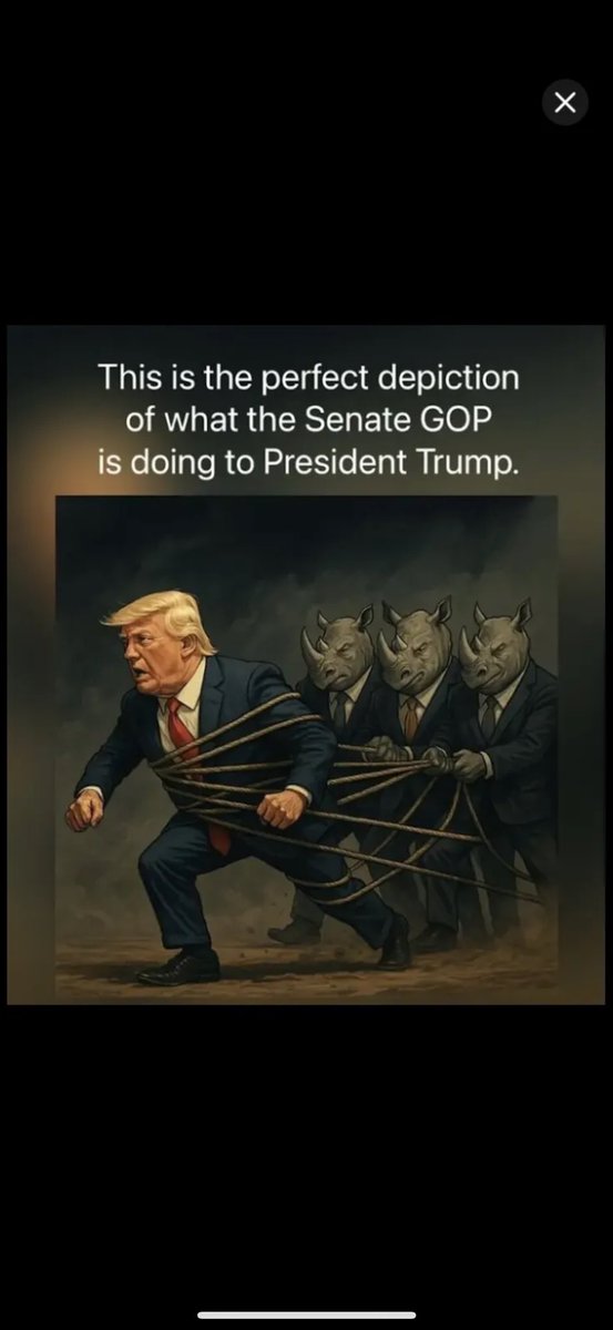 ChristineB56955's tweet image. He NEEDS TO GO NOW! The SAVE ACT IS GETTING PASSED. We the people DEMAND IT! Contact your senators tomorrow, tell them to REMOVE THUNE AS MAJORITY LEADER, and PASS THE SAVE ACT NOW. Thune is giving the midterms to the democrats. The fraud and corruption is starting to become