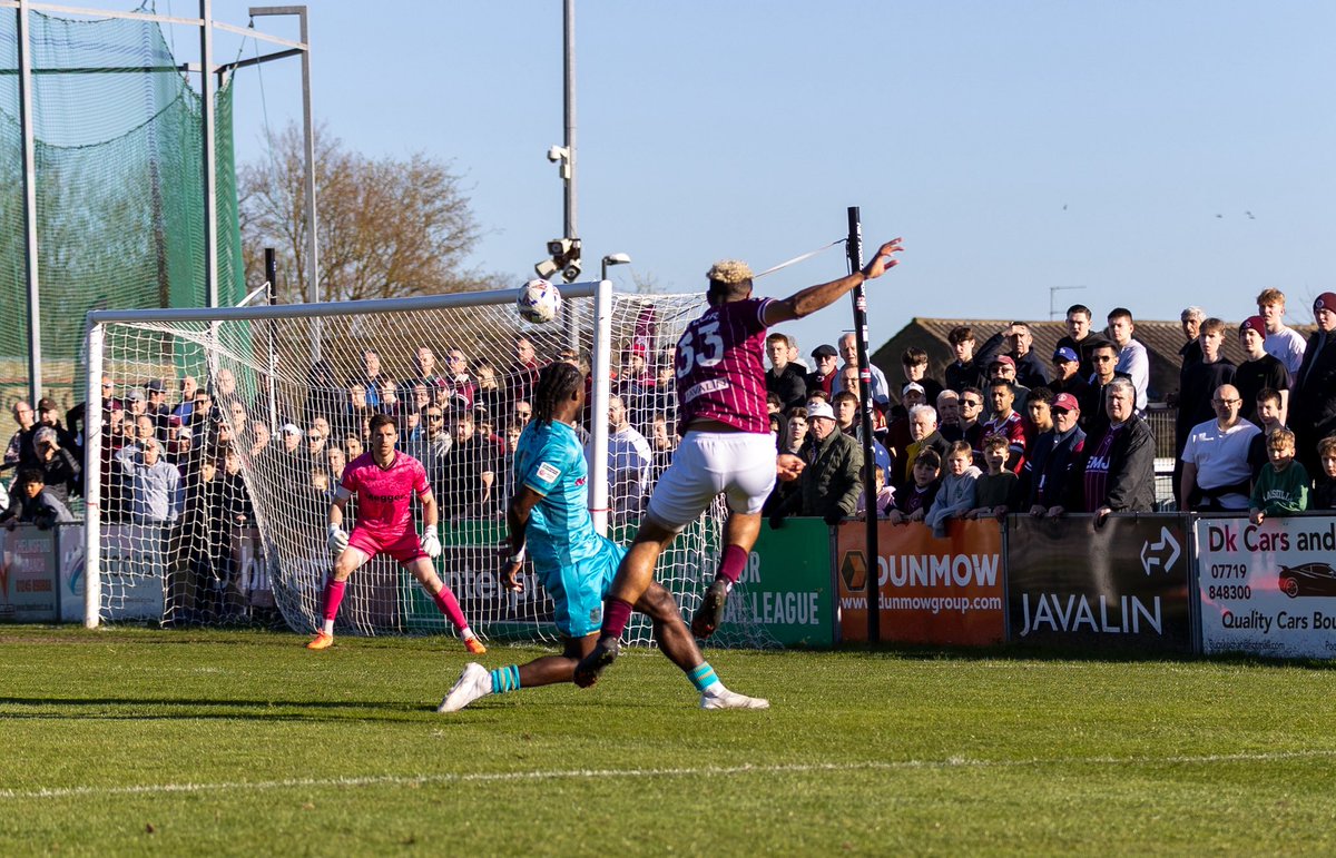 Creative Joy Photography tweet media