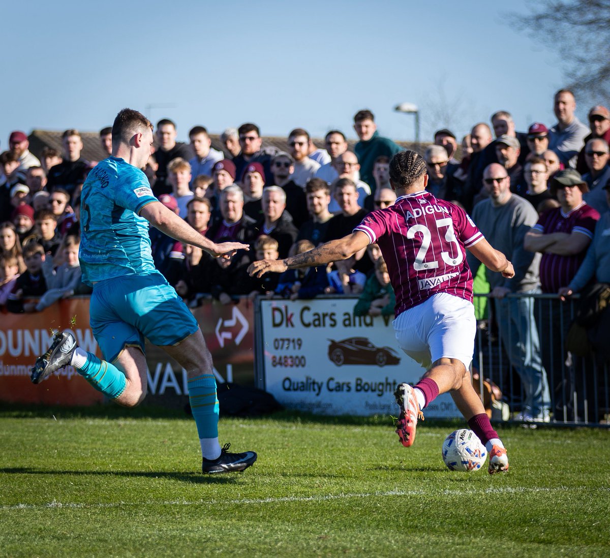 Creative Joy Photography tweet media