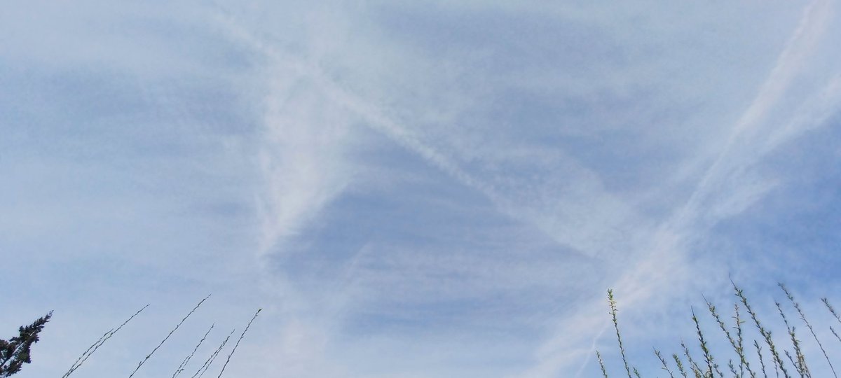 Tara Lynn 4444 tweet media