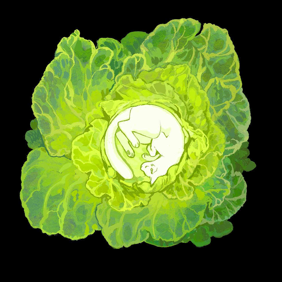 B A R S U K tweet media