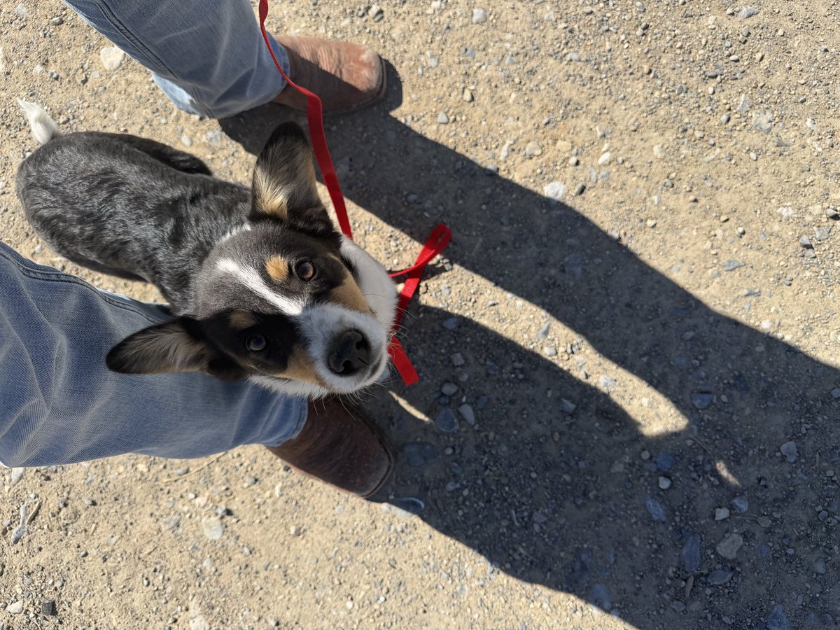 Braxton McCoy tweet media