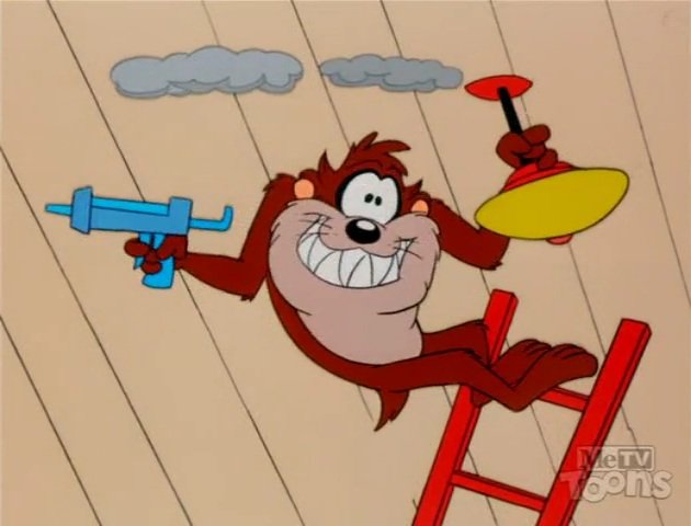 Cody | Wile E stan tweet media