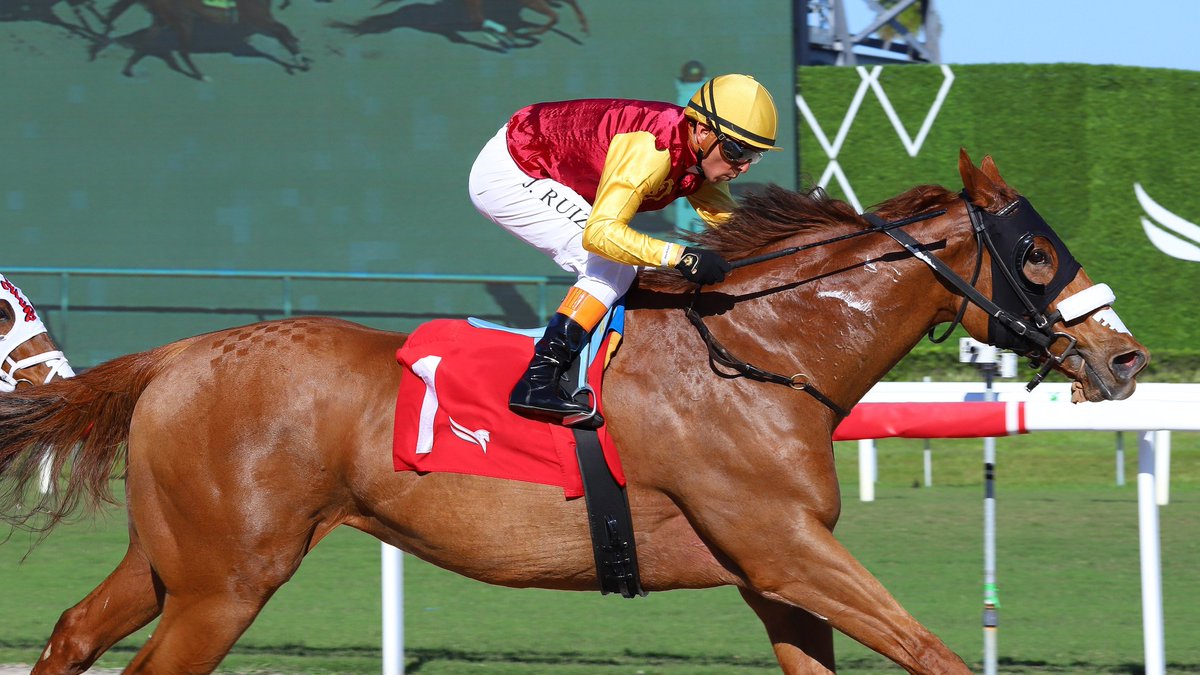 Gulfstream Park tweet media