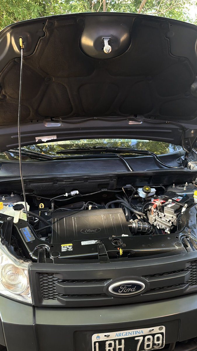 SunShineCars tweet media