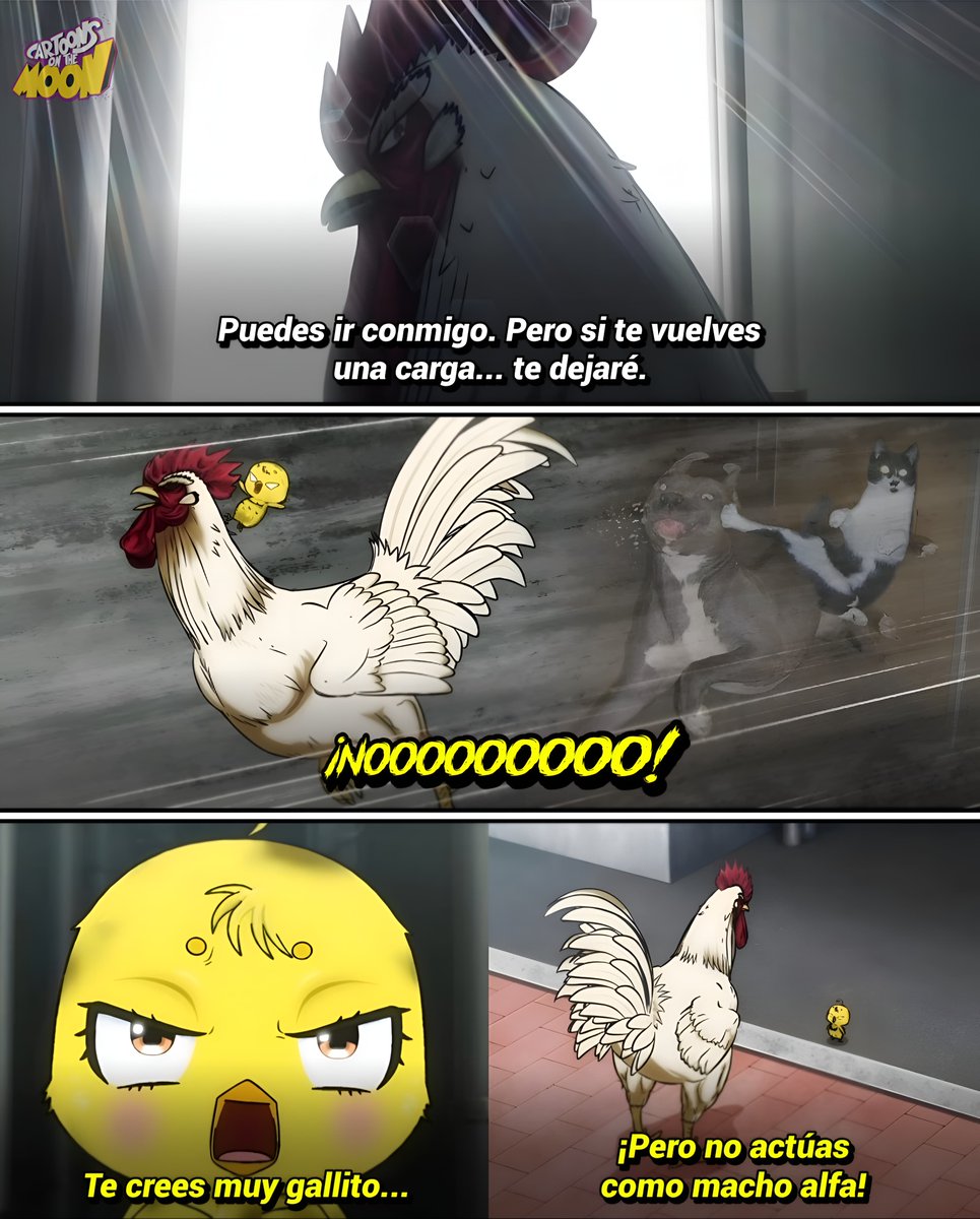 Cartoons On The Moon tweet media