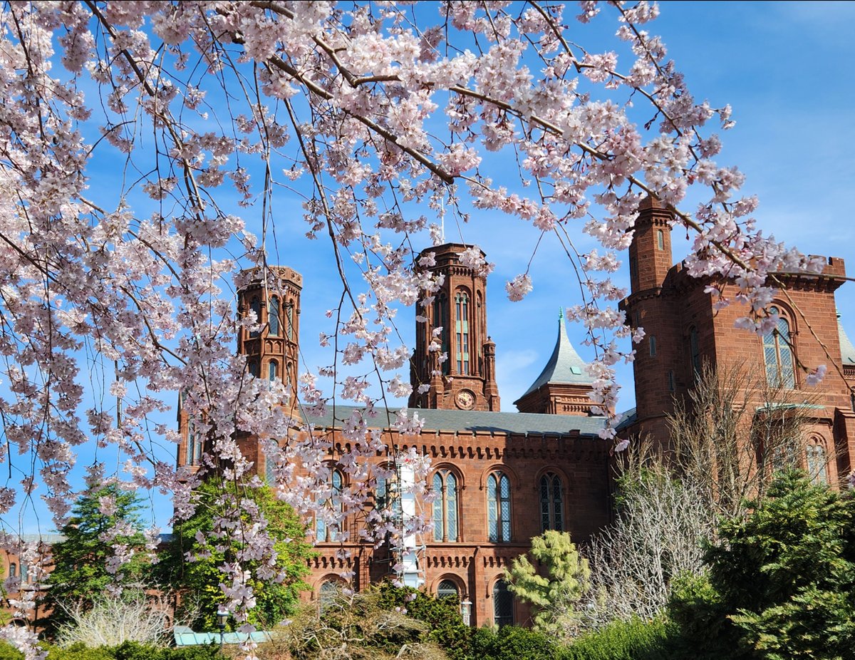 Kevin Ambrose tweet media