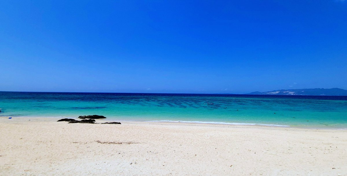 まーぶーキャンプ tweet media