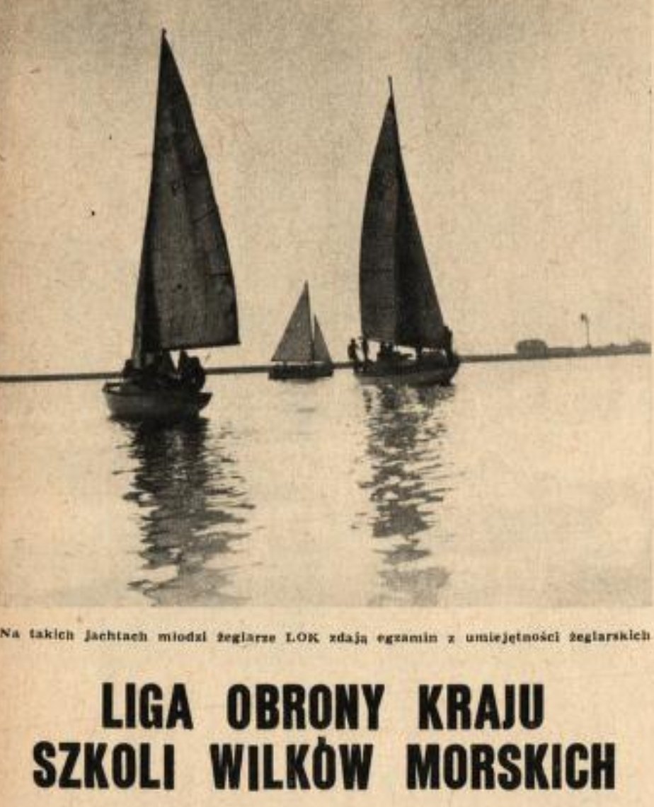 KonstruktorRudenicz tweet media