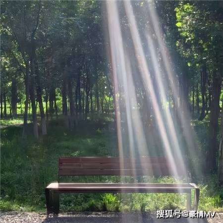 Ugur Gundogdu tweet media