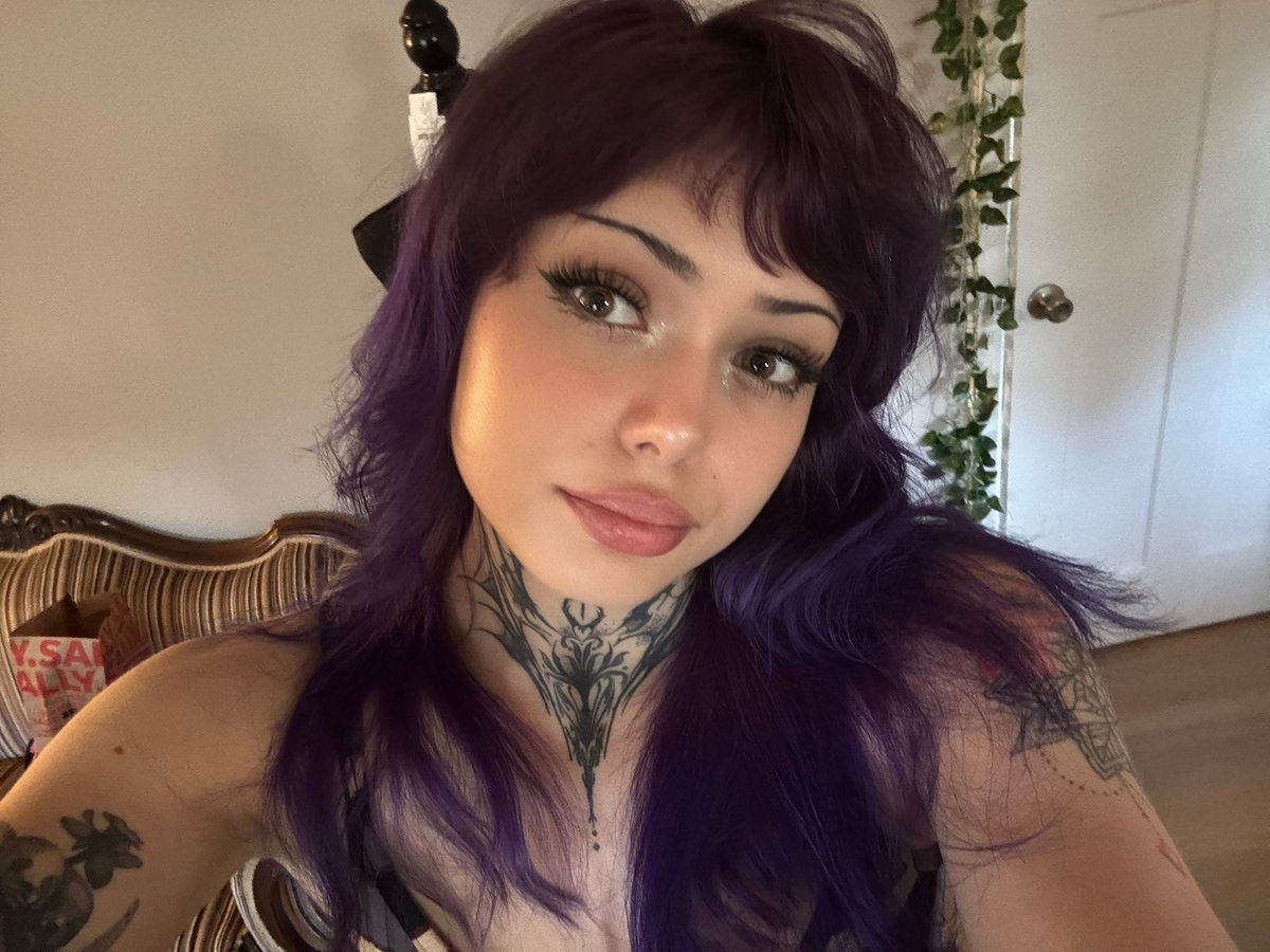 void kitty tweet media