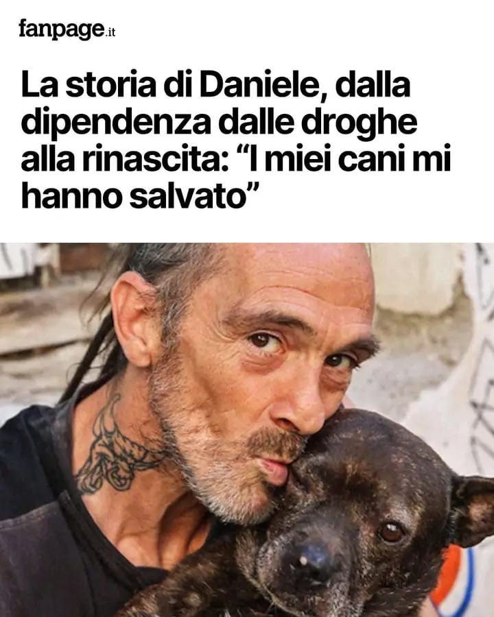 Matt 🐭 tweet media