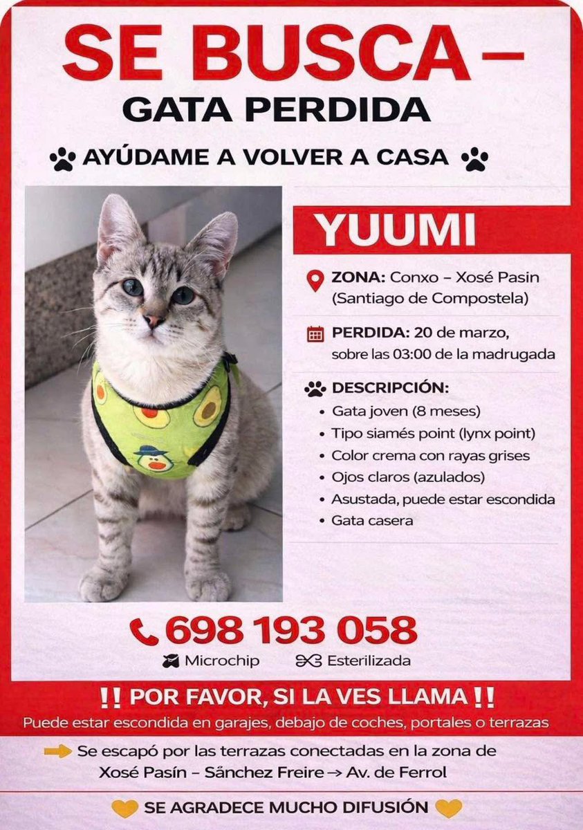 asociación abeiro tweet media