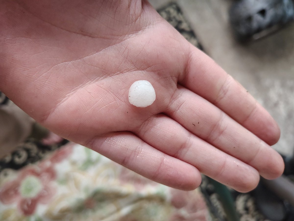 thesiblingscast's tweet photo. Pea sized hail https://t.co/QOnrrnv8zh