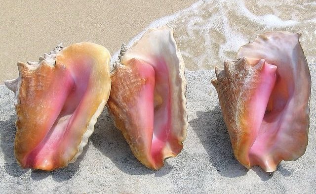 𝙈𝙖𝙧𝙮 tweet media