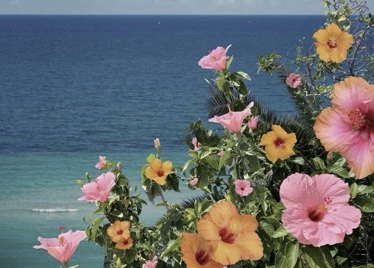 𝙈𝙖𝙧𝙮 tweet media