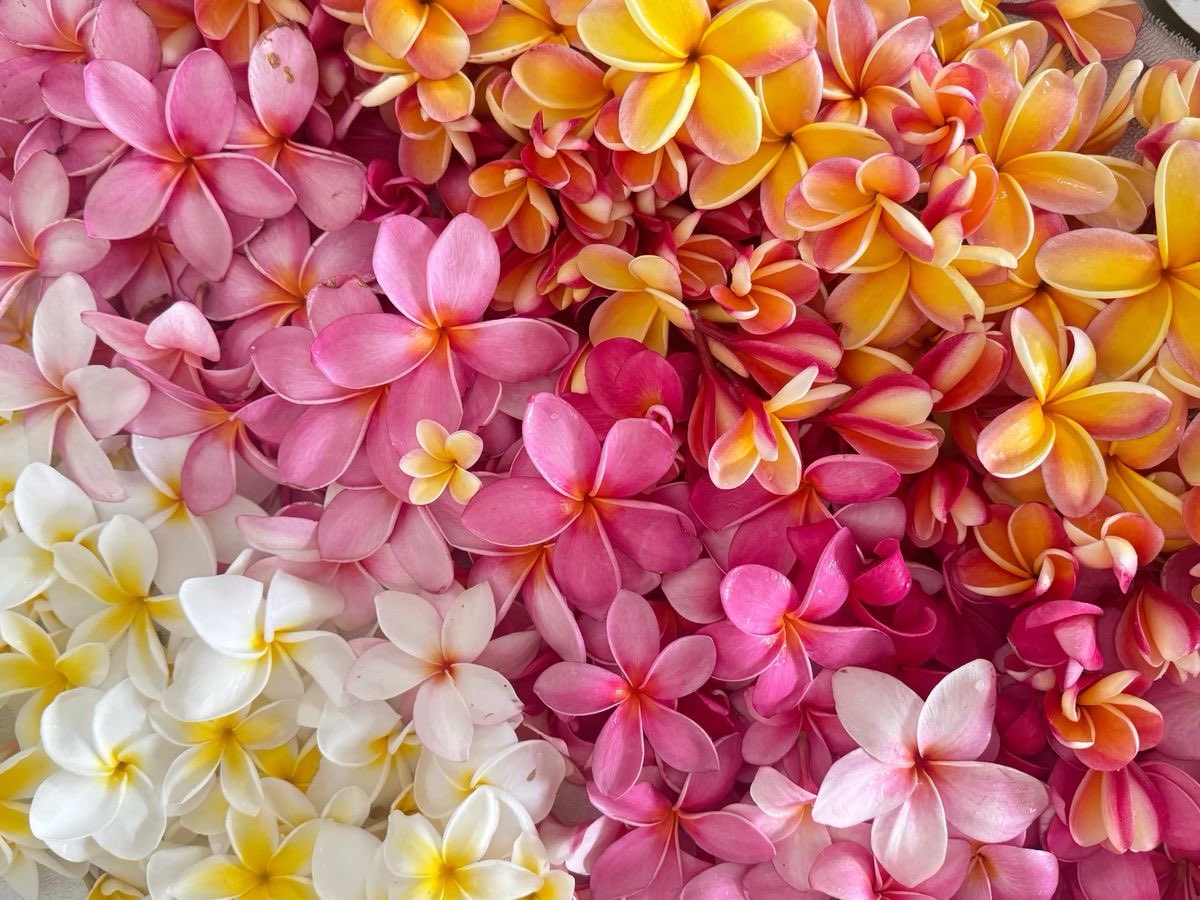 𝙈𝙖𝙧𝙮 tweet media