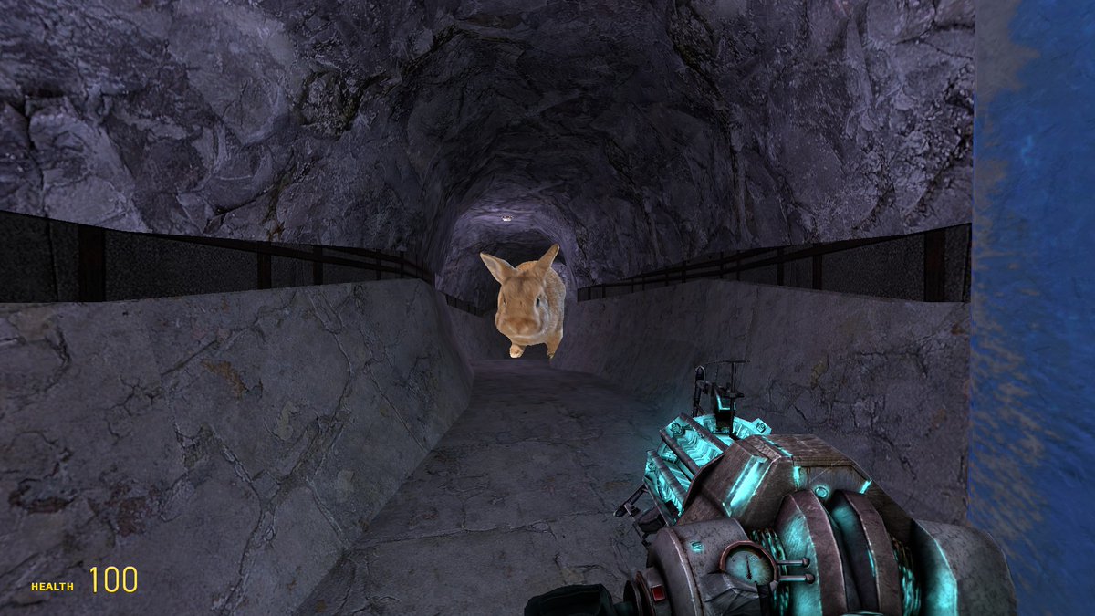 Western Rabbit tweet media