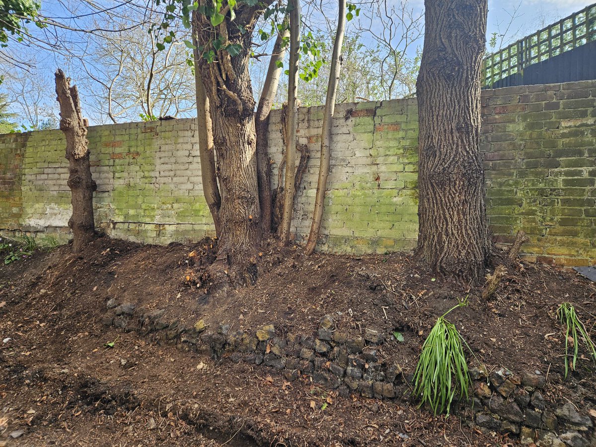 Mike Jack tweet media