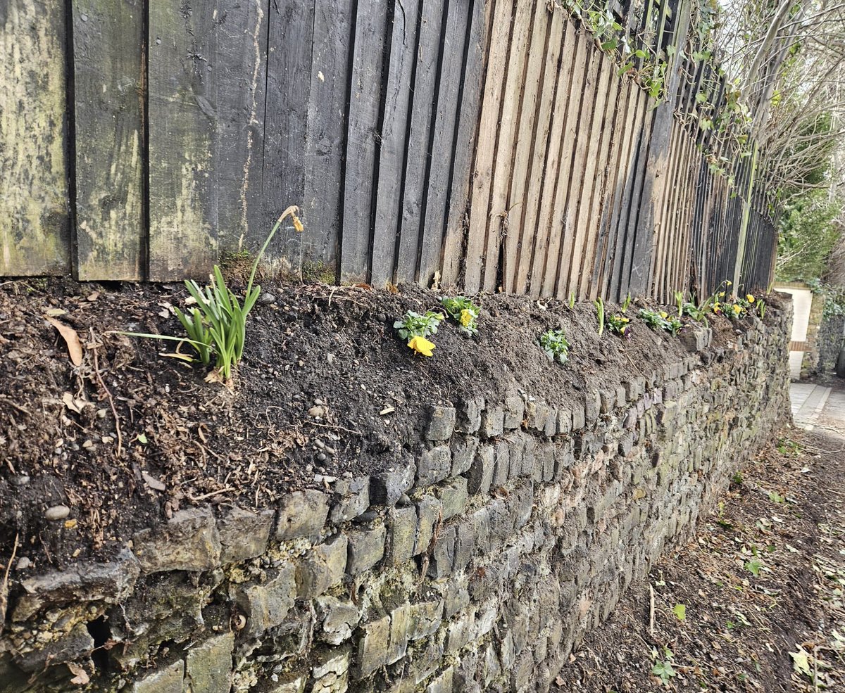 Mike Jack tweet media