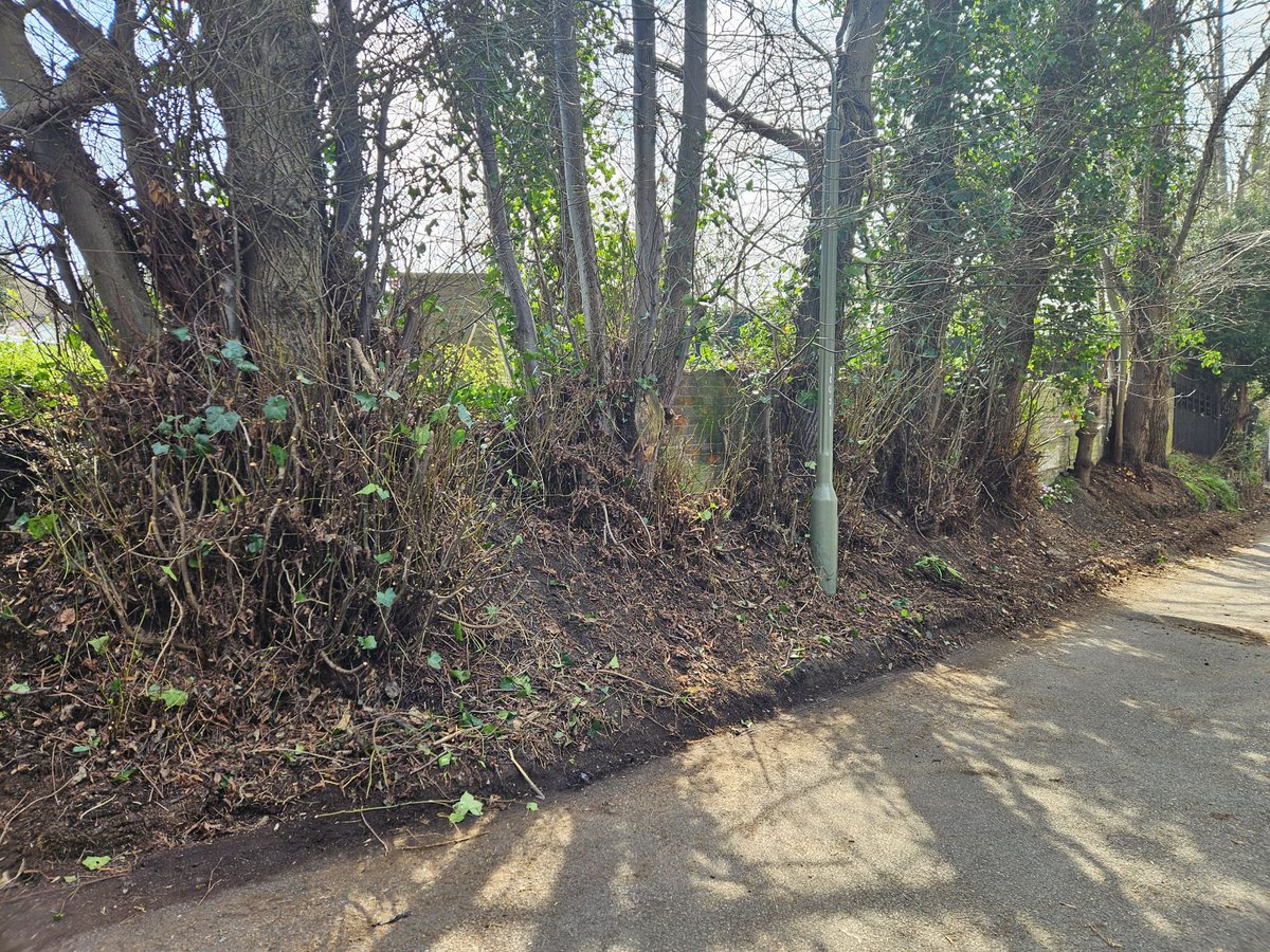 Mike Jack tweet media