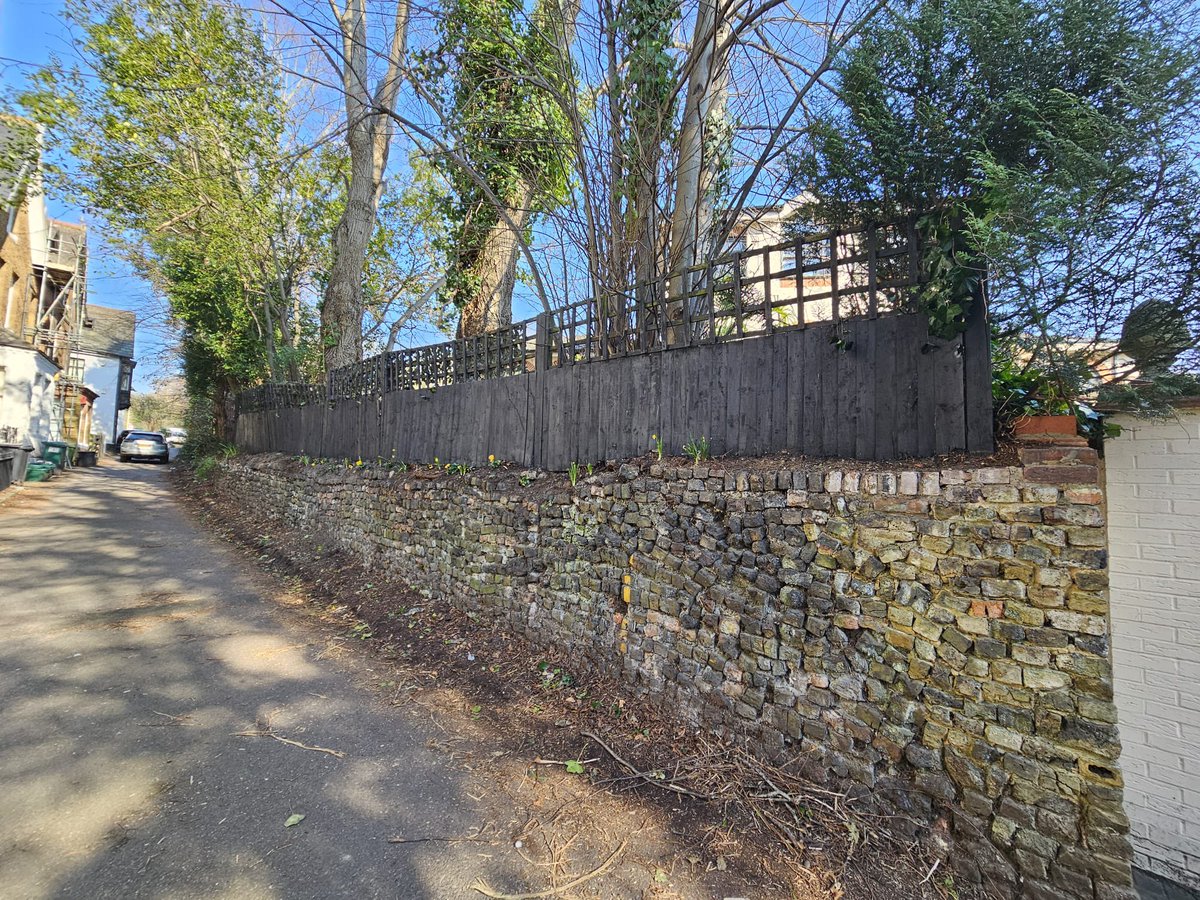 Mike Jack tweet media