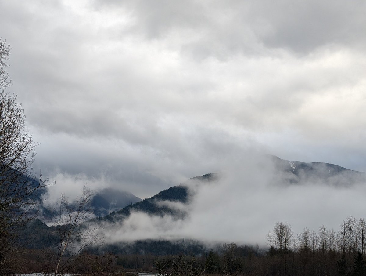 Canadian Fugee - Jesus Freak tweet media