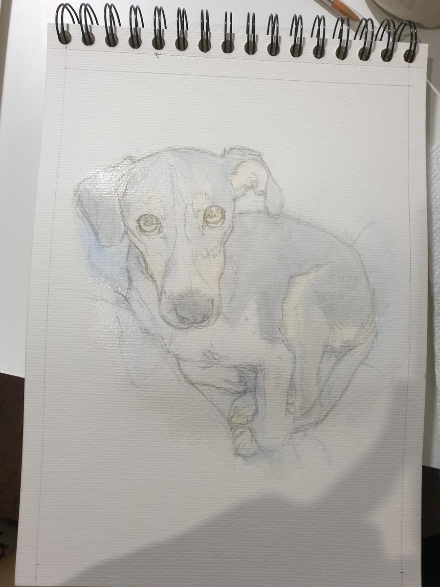 Salmoreja3D tweet media