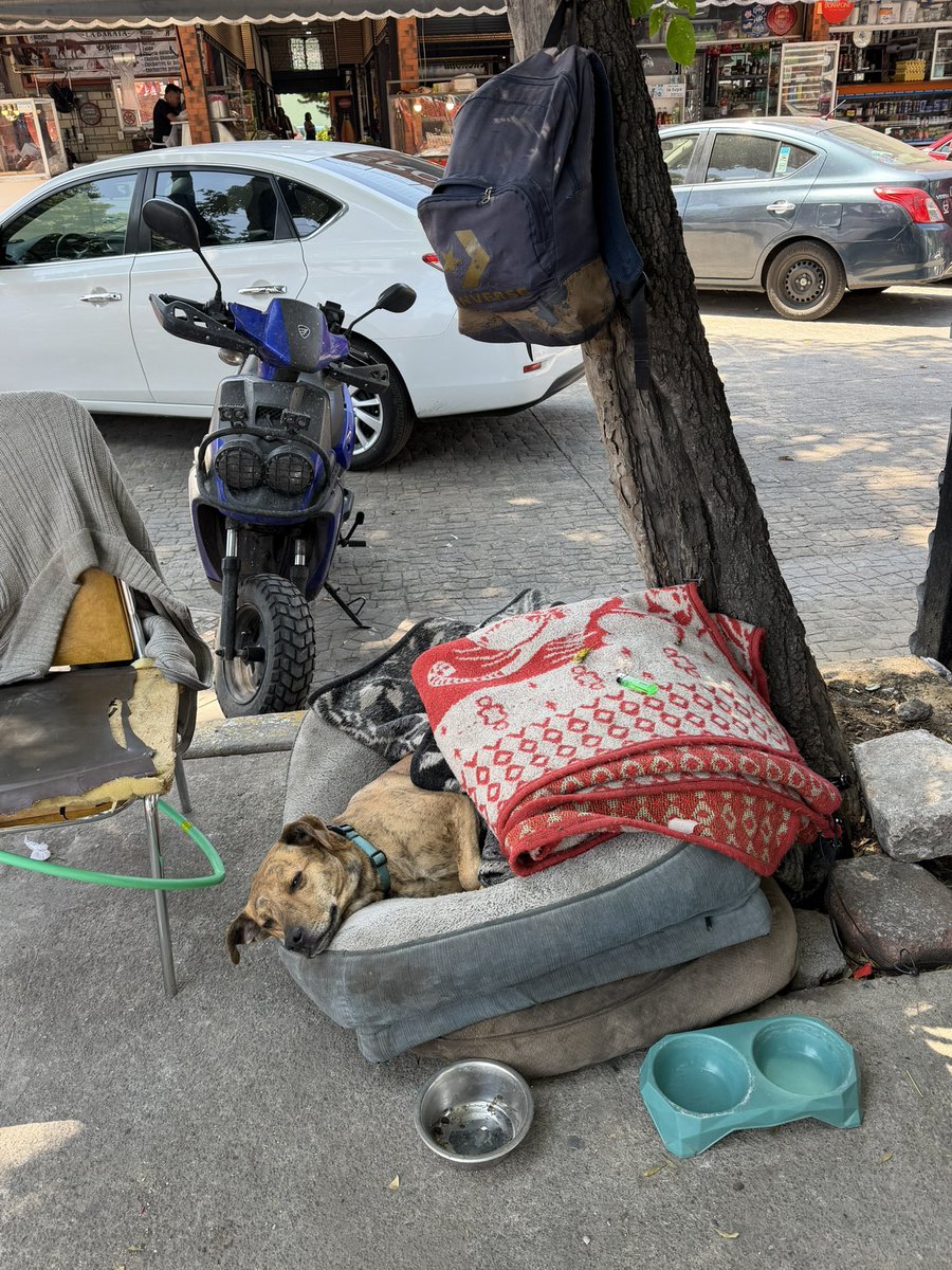 Elena Chávez tweet media