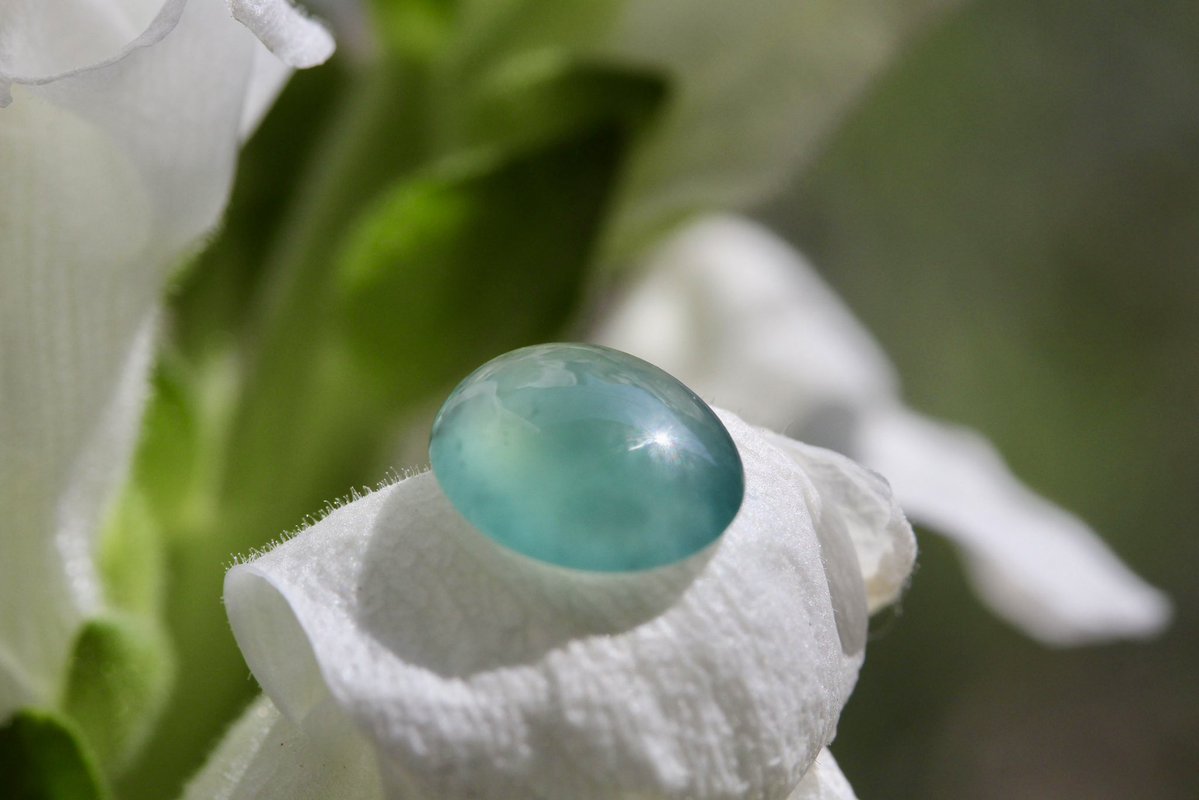 翡翠商のお店 ヤギトレーディング 2026年仙台石フリマ 3月29日（日） 出店✨ tweet media