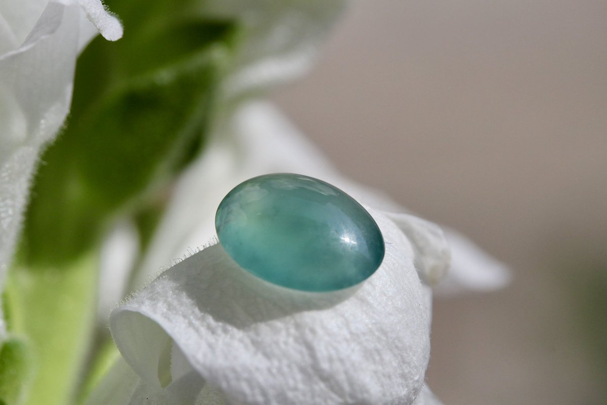 翡翠商のお店 ヤギトレーディング 2026年仙台石フリマ 3月29日（日） 出店✨ tweet media