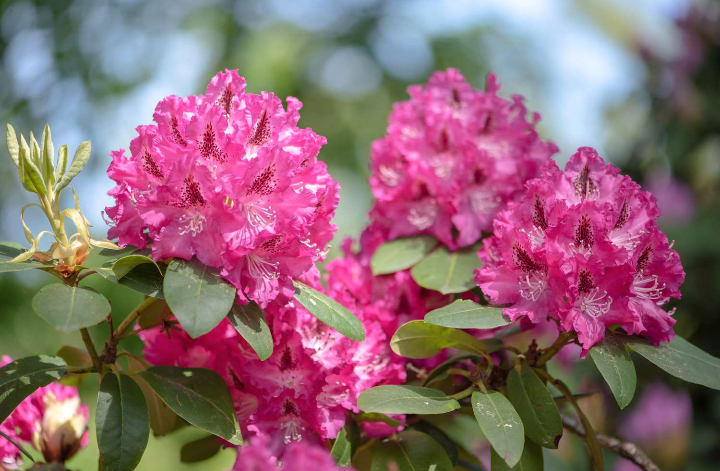 Kingsley Egbonyi 🐐 tweet media