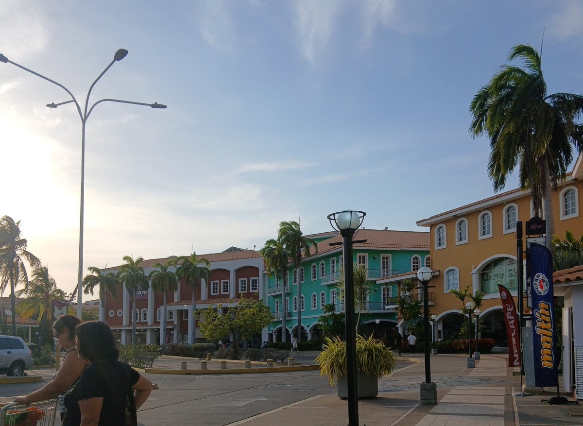 anna 🦇 tweet media