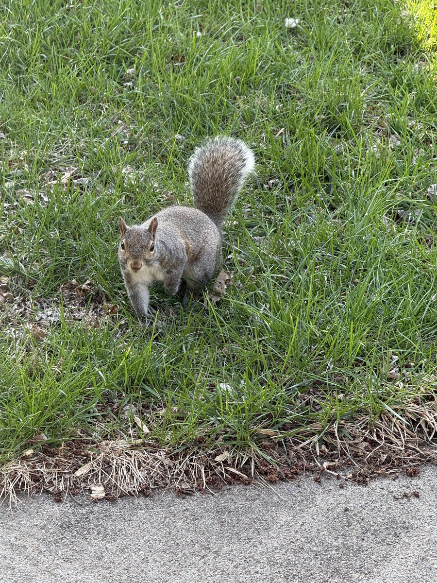 alex 🌈🌙 🪐🐿️🍅🍜 tweet media