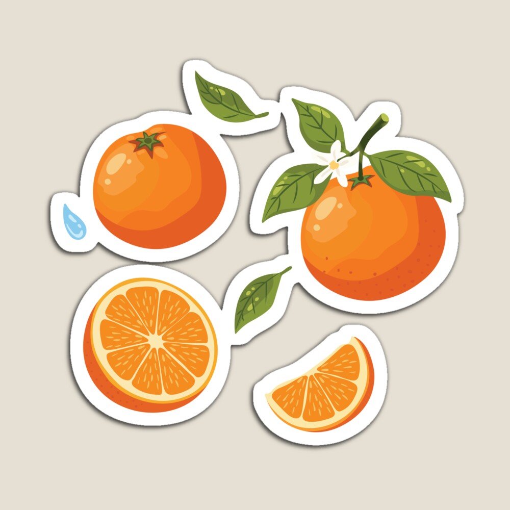Antony66080183's tweet image. From blossom to slice — a full citrus story 🍊🌿
redbubble.com/shop/ap/179389…
#citrusset #fruitcollection #orangeart #kitchendecor #botanicaldesign #fruitillustration #aestheticset #iphonecase #stickerdesign #cozyvibes #digitalart #giftideas #fruitlover #redbubbleartist