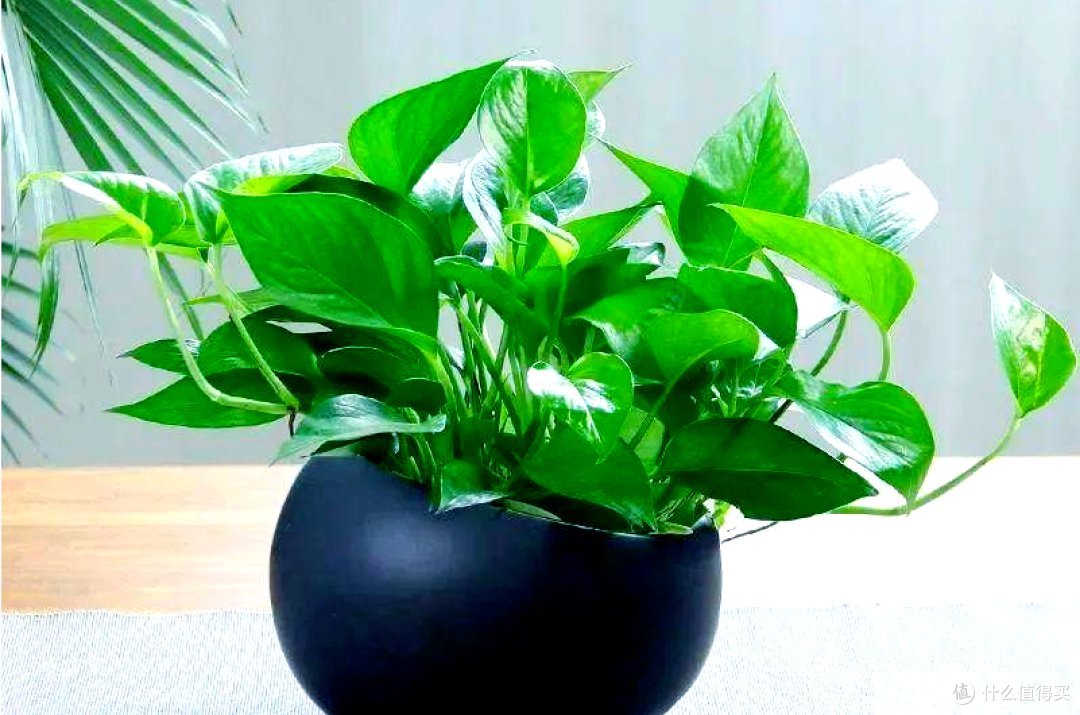 Doug Gordon tweet media