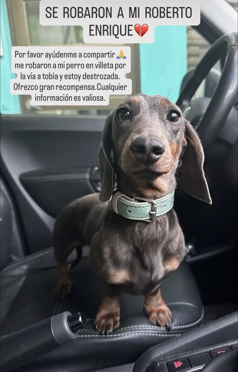 Laura Rubio tweet media