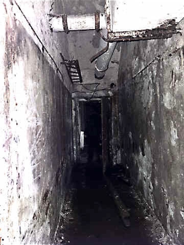 amalgamatomaton tweet media