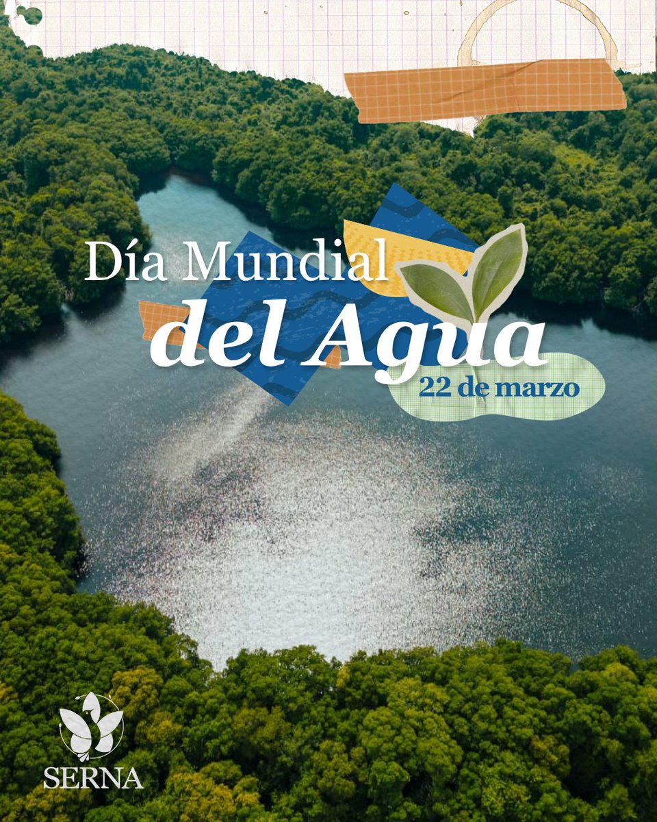 Secretaría de Recursos Naturales y Ambiente tweet media