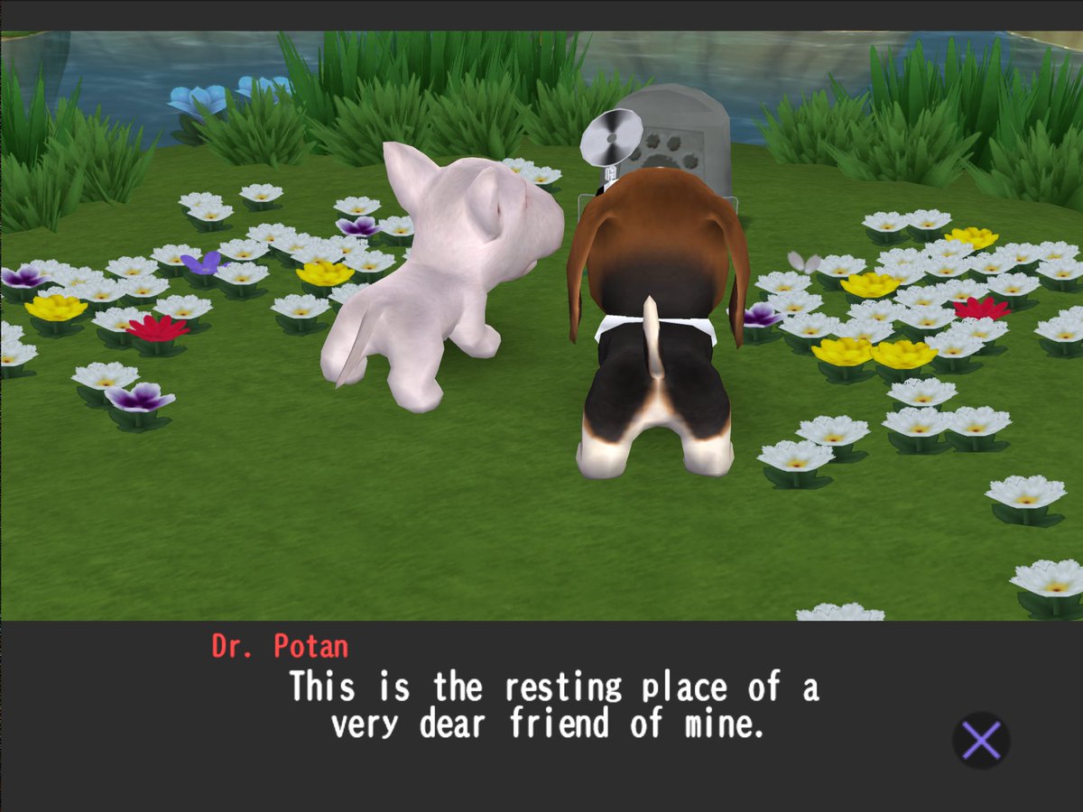 Hamon Beat tweet media