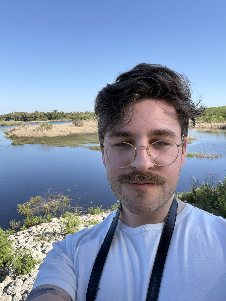 Gators Daily 🐊 tweet media