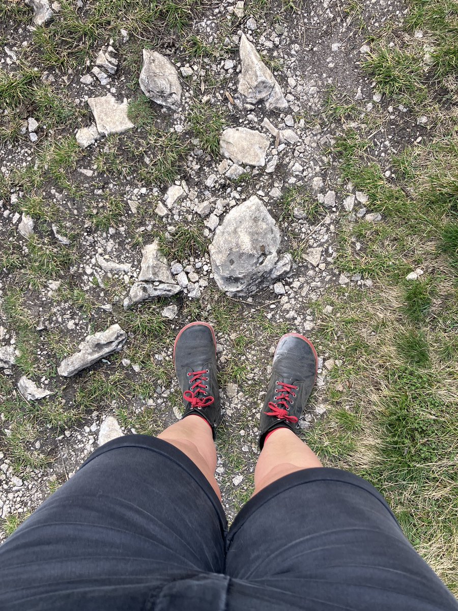 ovesná vločka tweet media