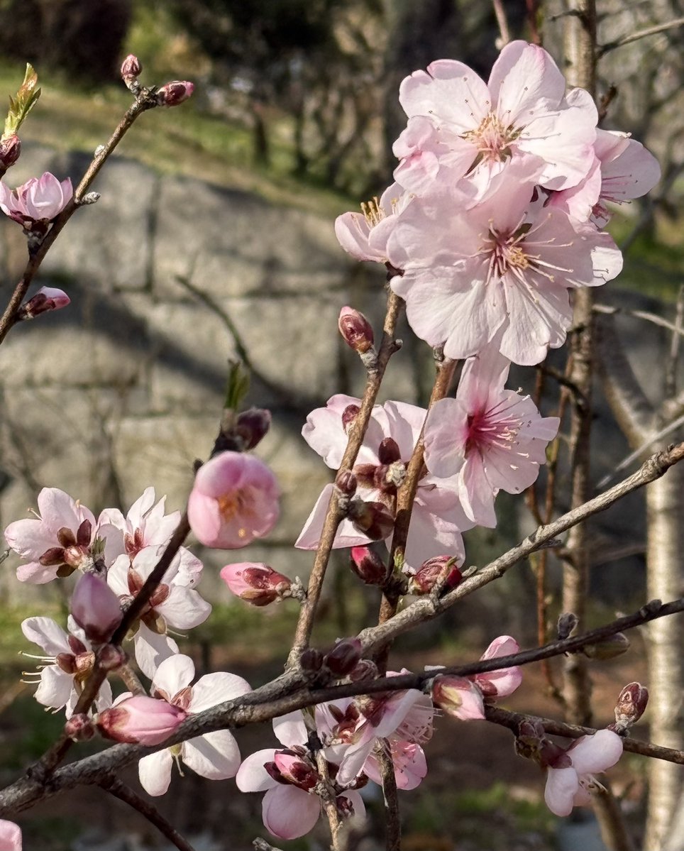 岐阜聖地巡礼者☆★ tweet media