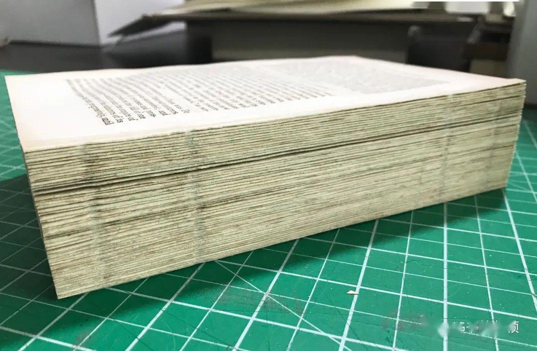 Wanderwit tweet media