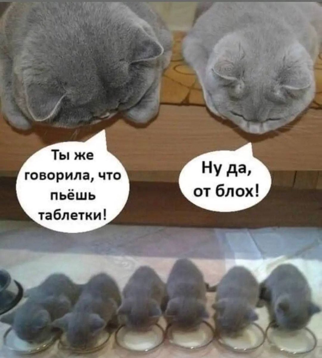 Number One tweet media