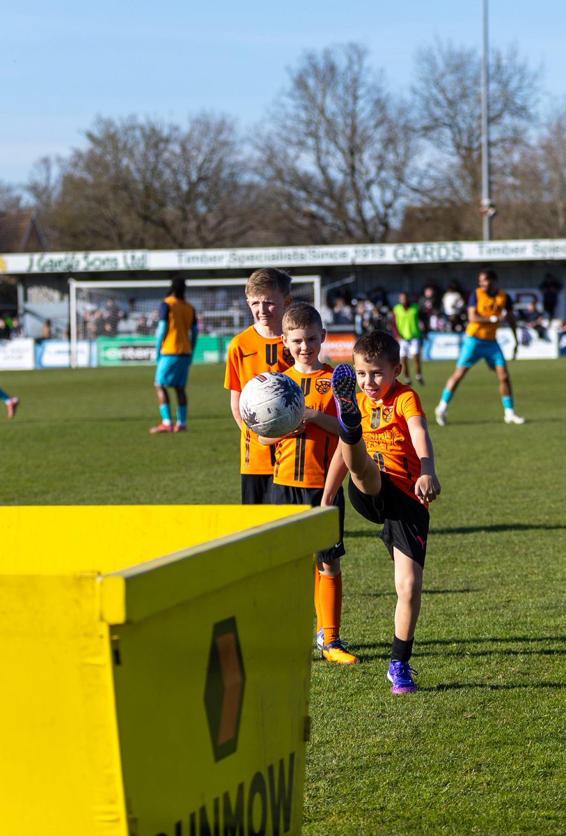 Creative Joy Photography tweet media